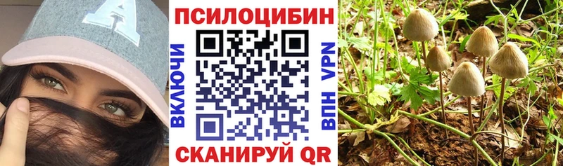 даркнет сайт  Сланцы  Галлюциногенные грибы GOLDEN TEACHER 